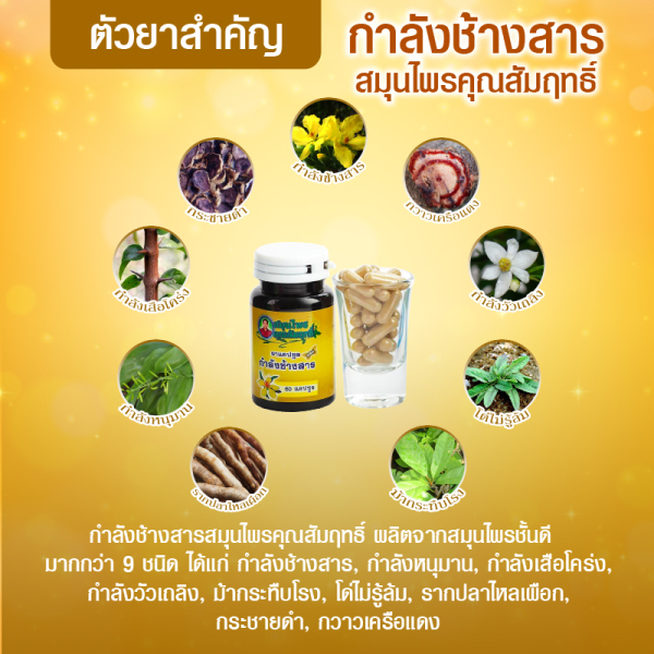 กำลังช้างสาร สมุนไพรคุณสัมฤทธิ์