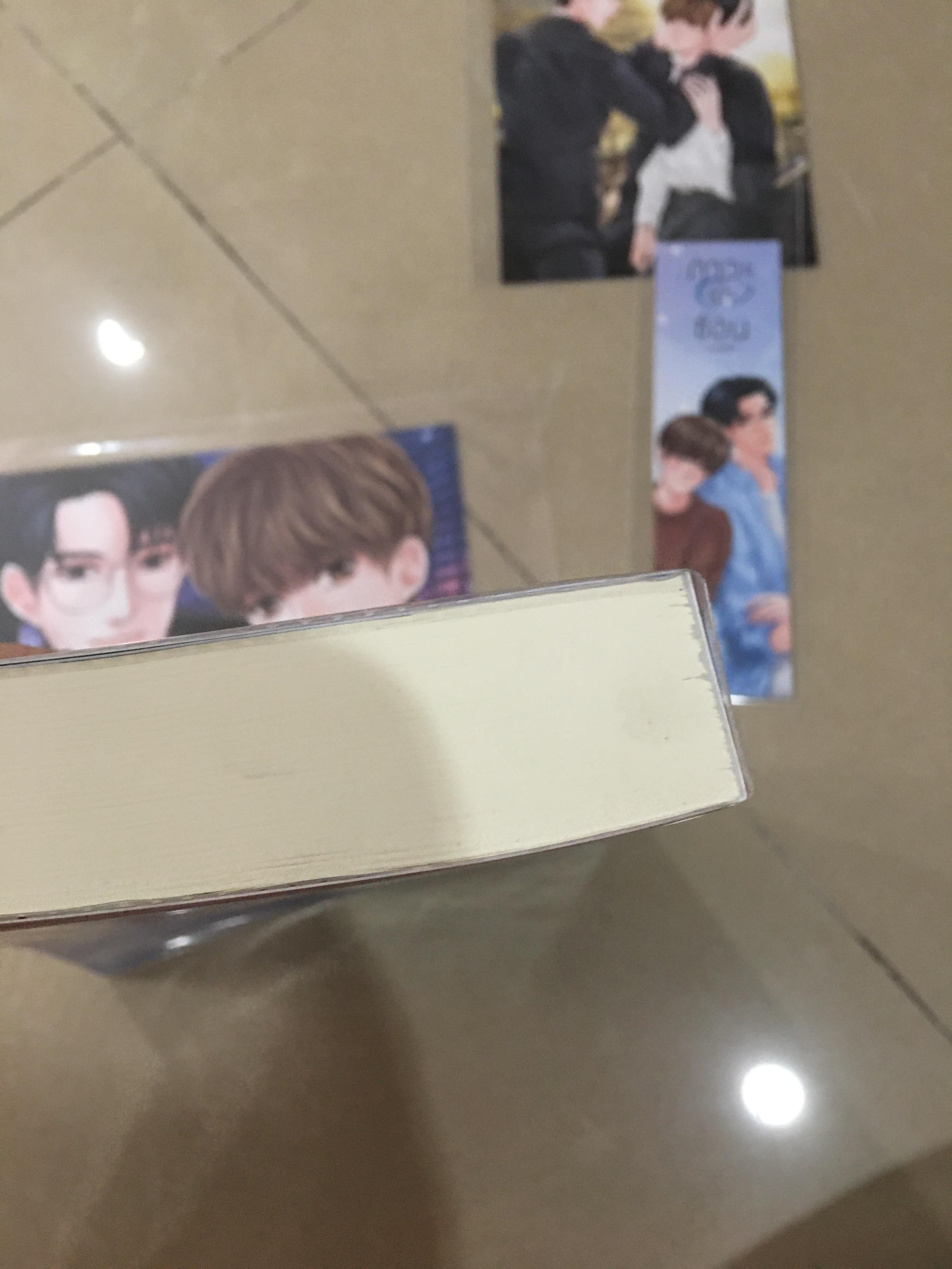 นิยายแต่ง ภาวะรักซ้อน รอบจอง 3 วันแรก