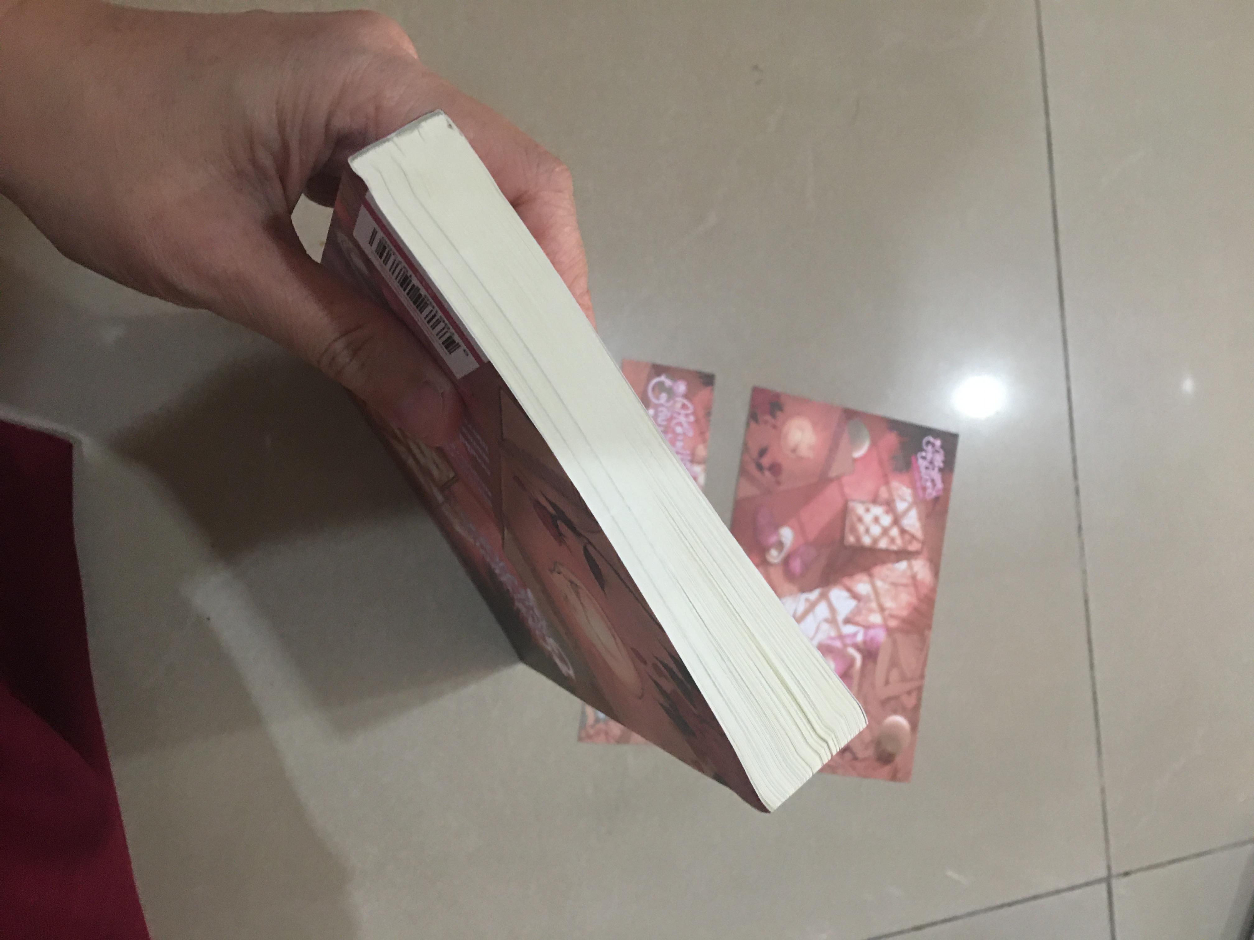 นิยายแต่ง กุหลาบแดงกับแมวขาว
