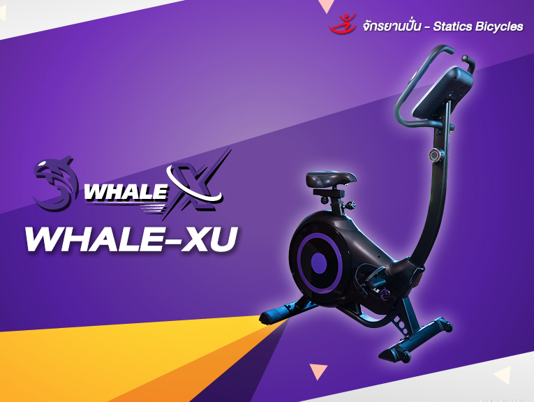 จักรยานนั่งปั่นVTech รุ่น WHALE-XU
