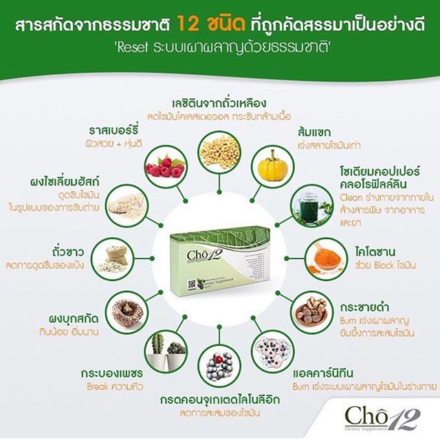 จำหน่าย โช ทเวลฟ์ Cho12 ของแท้ 100% ฟรี EMS
