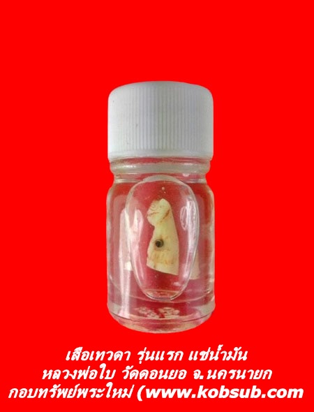 เสือเทวดา รุ่นแรก แช่น้ำมัน หลวงพ่อใบ วัดดอนยอ จ.นครนายก