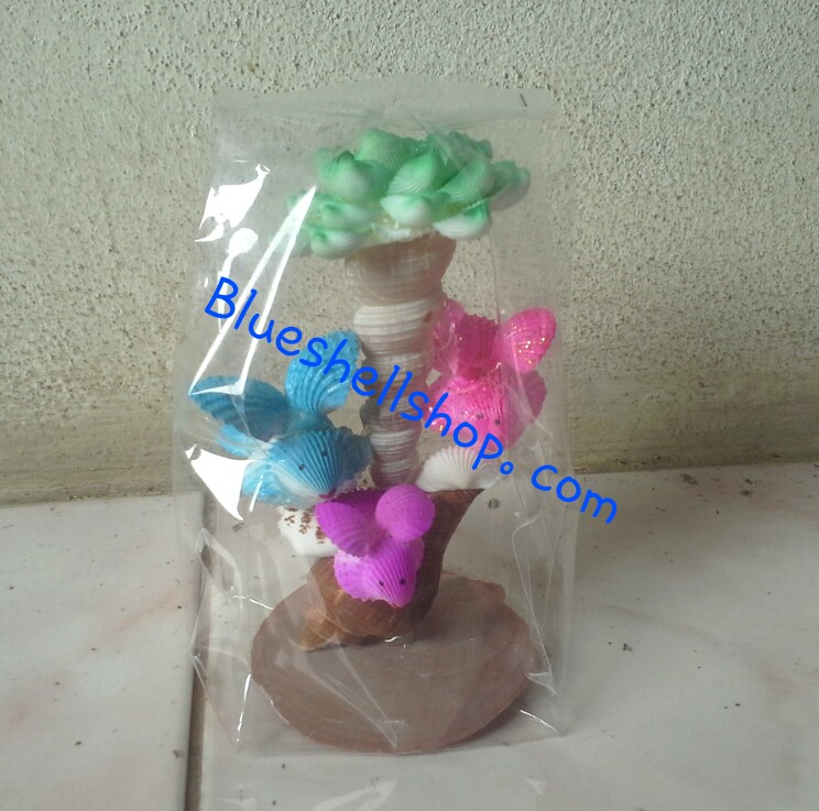 หอยดอกไม้