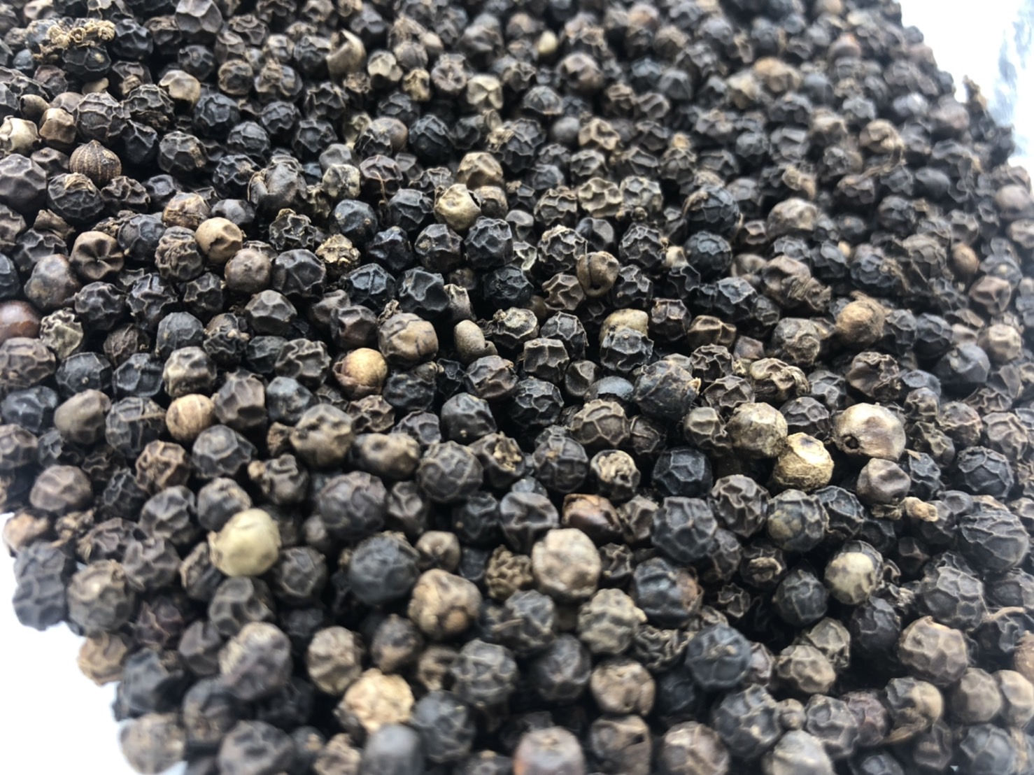 พริกไทยดำ Black pepper ขนาด 100 กรัม 黑糊椒粒 พริกไทยสเต็ก เครื่องเทศ พริกไทยเม็ดดำ คุณภาพดี พริกไทยดำเม็ด