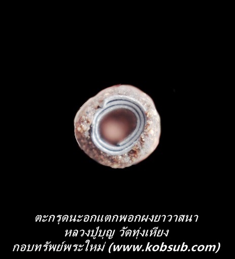 ตะกรุดนะอกแตกพอกผงยา รุ่นแรก หลวงปู่บุญ วัดทุ่งเหียง