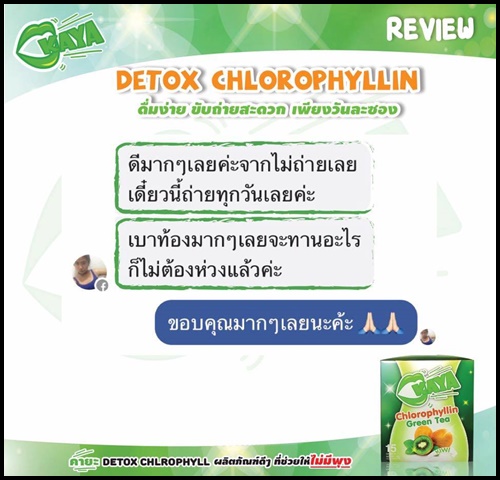 คายะ คลอโรฟิลล์ กรีนที ดีท็อกซ์ KAYA Chlorophyllin Green Tea