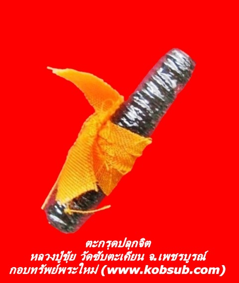 ตะกรุดปลุกจิต หลวงปู่ขุ้ย วัดซับตะเคียน จ.เพชรบูรณ์