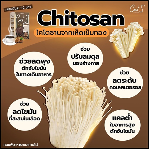 Cal S Coffee By Primaya แคลเอส คอฟฟี่ กาแฟคุมหิว (แพ็คเกจใหม่)