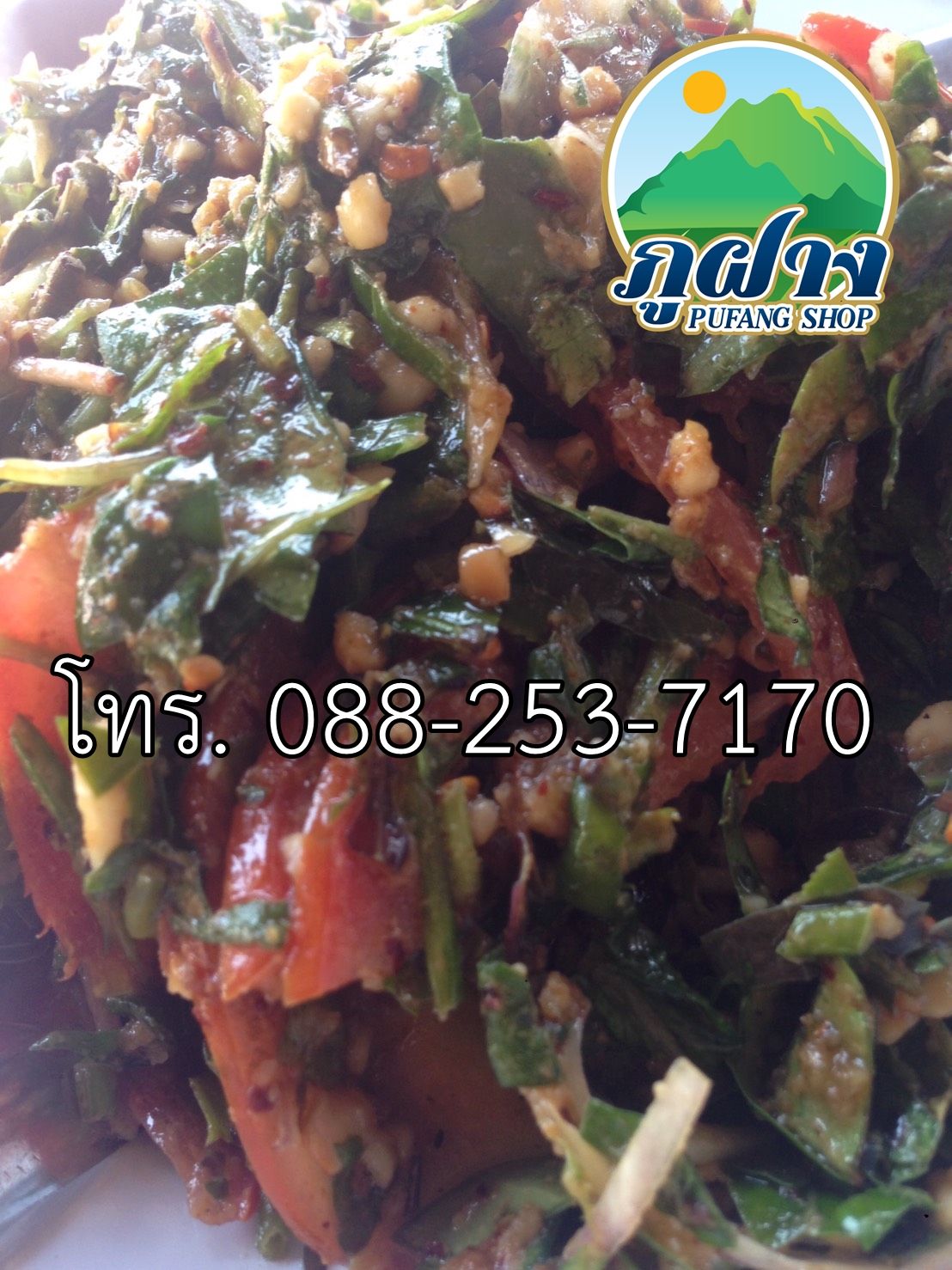 ใบชาสด ขนาด 500 กรัม ชาเขียวอัสสัมแบบสด ASSAM GREEN TEA ชาออแกร์นิค ชาป่า จากดอยลาง อ.แม่อาย สามารถนำไปประกอบอาหาร เช่น ยำเมี่ยง (ยำใบชา) สินค้า Preoder ต้องสั่งล่วงหน้า**