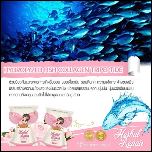 สมุนไพรรีแพร์ by บุษบา แพคเกจใหม่