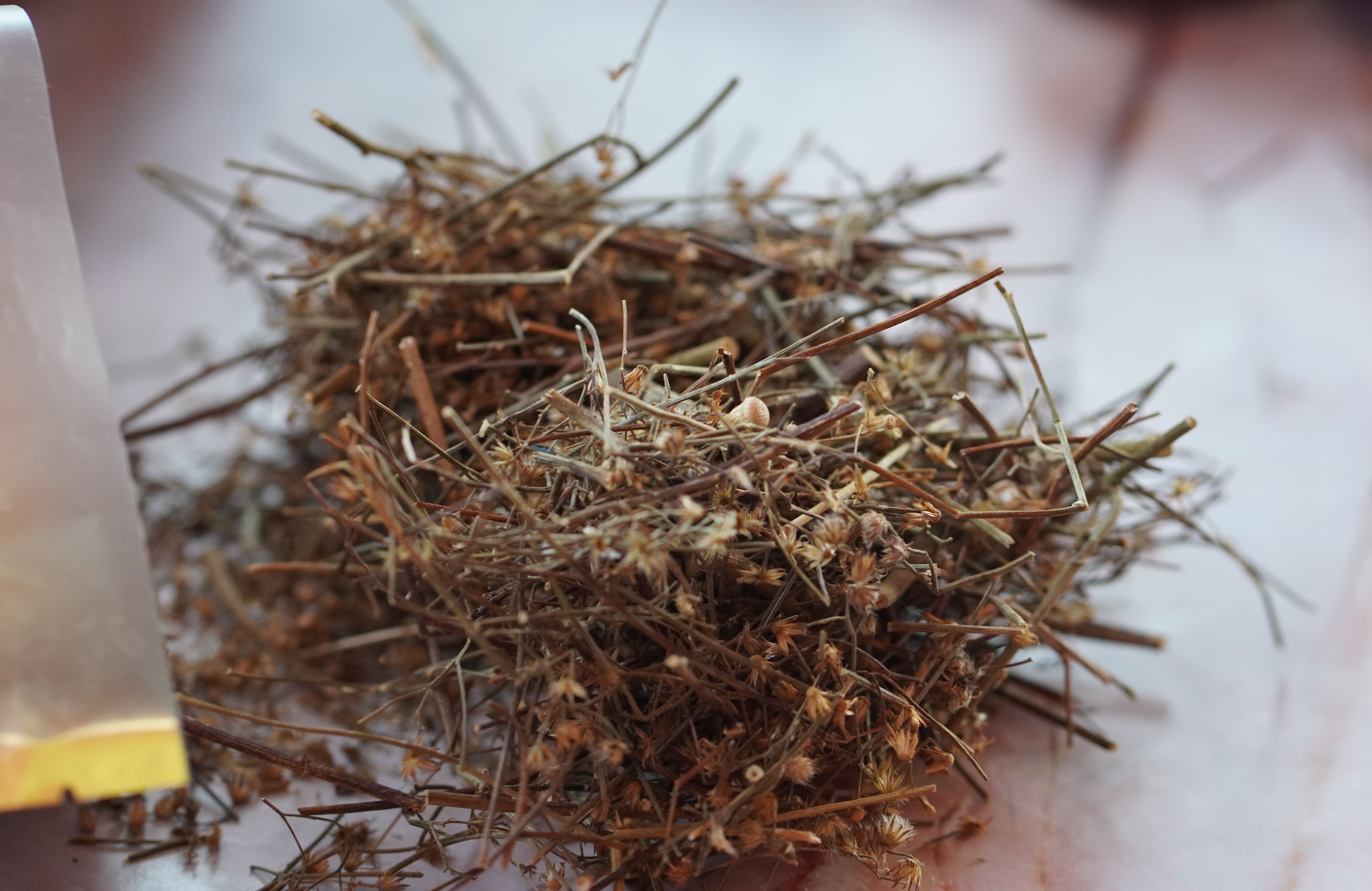 หญ้าดอกขาว หญ้าดอกขาวแห้ง หญ้าหมอน้อย ขนาด 100 กรัม Little ironweed ลดความอยากอาหาร ลดการอยากบุหรี่ มีสรรพคุณมากมาย กินง่าย มีรสชาติดีเยี่ยม ควรระวังในการใช้ในผู้ป่วยโรคหัวใจและโรคไตเนื่องจากสมุนไพรชนิดนี้มีโพแทสเซียมสูง