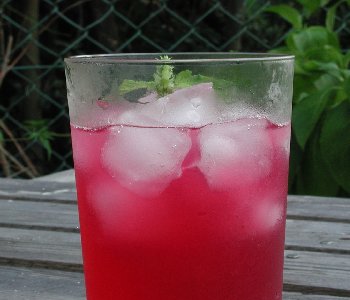 ชิโสะใบแดง - Red Perilla (Shiso)