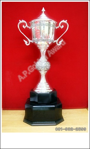 ถ้วยพิวเตอร์