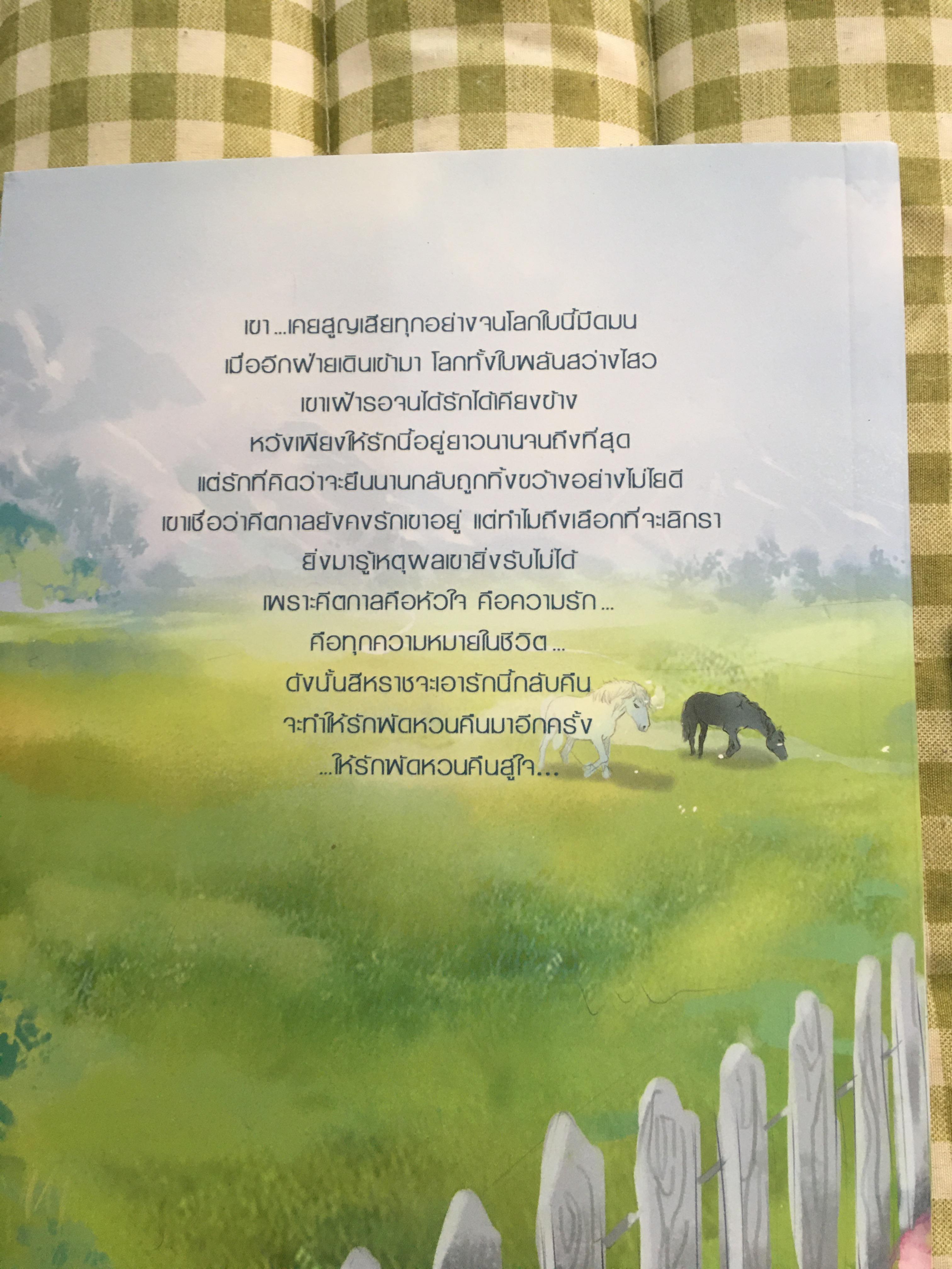 นิยายแต่ง รักพัดหวาน บ