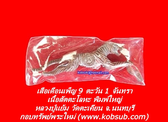 เสือเดือนเพ็ญ 9 ตะวัน 1 จันทรา เนื้อสัตตะโลหะ พิมพ์ใหญ่ หลวงปู่แย้ม วัดตะเคียน