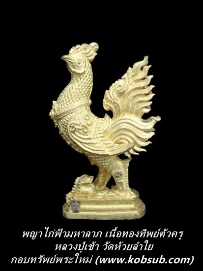 พญาไก่ฟ้ามหาลาภ ตัวครู เนื้อทองทิพย์ หลวงปู่เช้า วัดห้วยลำใย