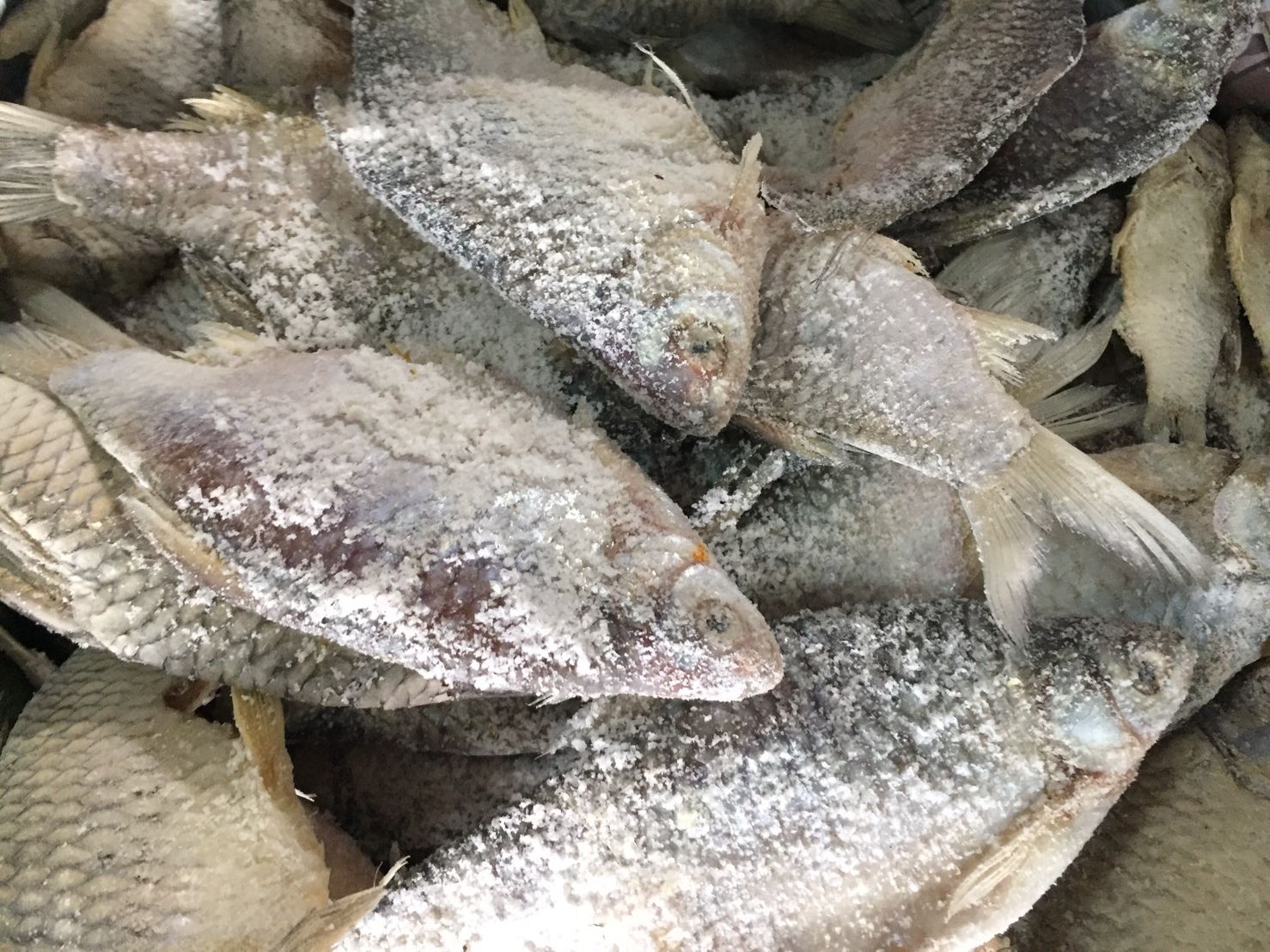 ปลาหมักเกลือ ปลาเน่า น้ำหนัก 500 กรัม ပႃႇၸႃႇ - ပႃႇၸႃႇၶမ်းၵႅတ်းသေ ปลาหมักสูตรไทยใหญ่ Fermented Fish - Burmese Style Pickled Fish ปลาเน่า ปลาเน่าเกเซ นำไปประกอบอาหารได้หลากหลายชนิด รับประกันความอร่อย