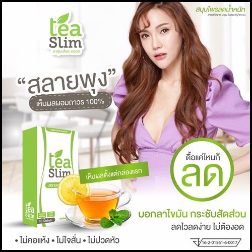 ทีสลิม ชาสมุนไพรลดไขมัน Tea Slim (โปร 1 แถม 1)