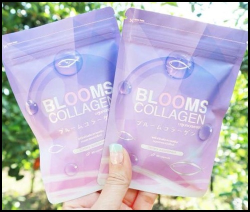 บลูม คอลลาเจน Blooms Collagen