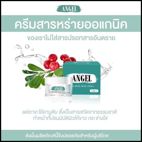 ออร่าแองเจิลไนท์ครีม Angel Aura Angel Night Cream ครีมสาหร่ายหน้าใสลดสิว