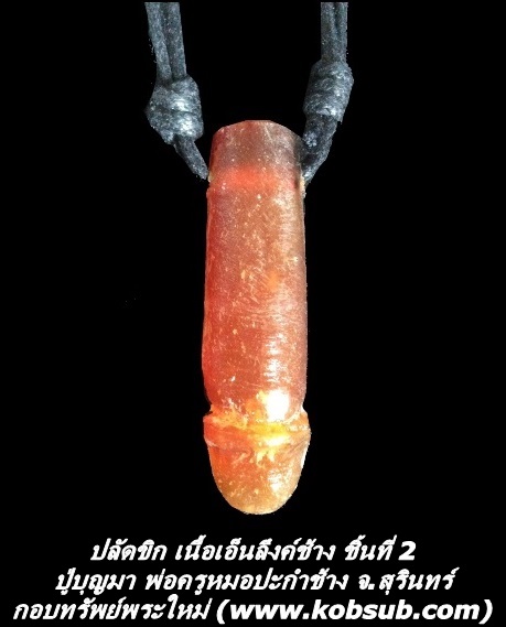 ปลัดขิก เนื้อเอ็นลึงค์ช้าง ชิ้นที่ 2 ปู่บุญมา พ่อครูหมอปะกำช้าง จ.สุรินทร์