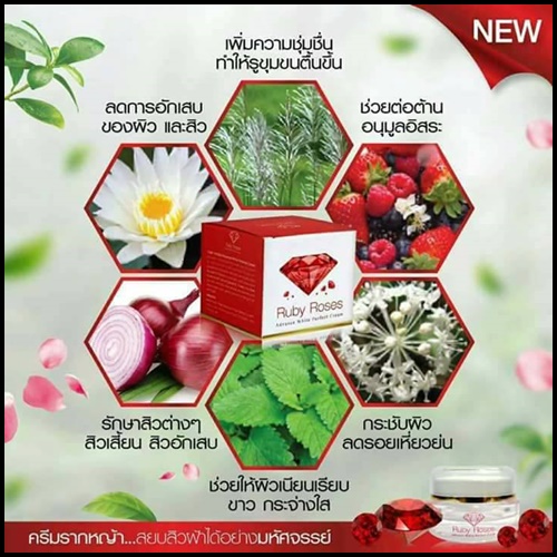 รับบี้ โรส ครีม Ruby Roses Cream ครีมรากหญ้า