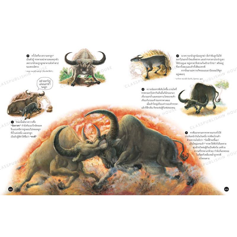 นิทานภูผา นิทานเรื่องเล่าพื้นบ้านไทย 4-8 ปี