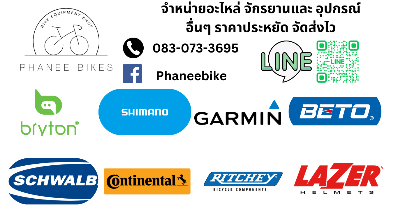 Phaneebike