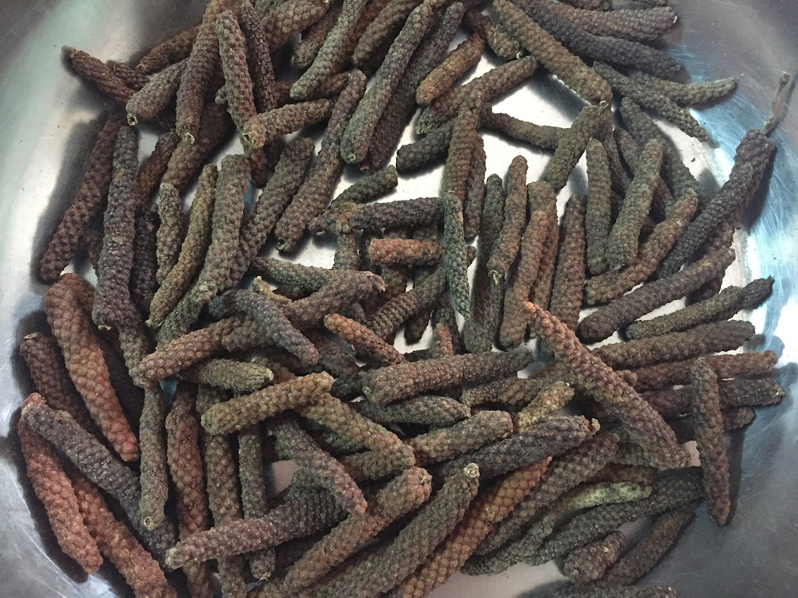 ดีปลี ดีปลีตากแห้ง ขนาด 50 กรัม Long pepper Indian long pepper ใช้เป็นยาอายุวัฒนะ บำรุงกำลังและช่วยบำรุงกำหนัด ทำให้เจริญอาหาร หญิงตั้งครรภ์ห้ามรับประทาน