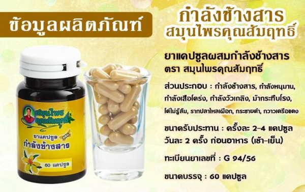 กำลังช้างสาร สมุนไพรคุณสัมฤทธิ์