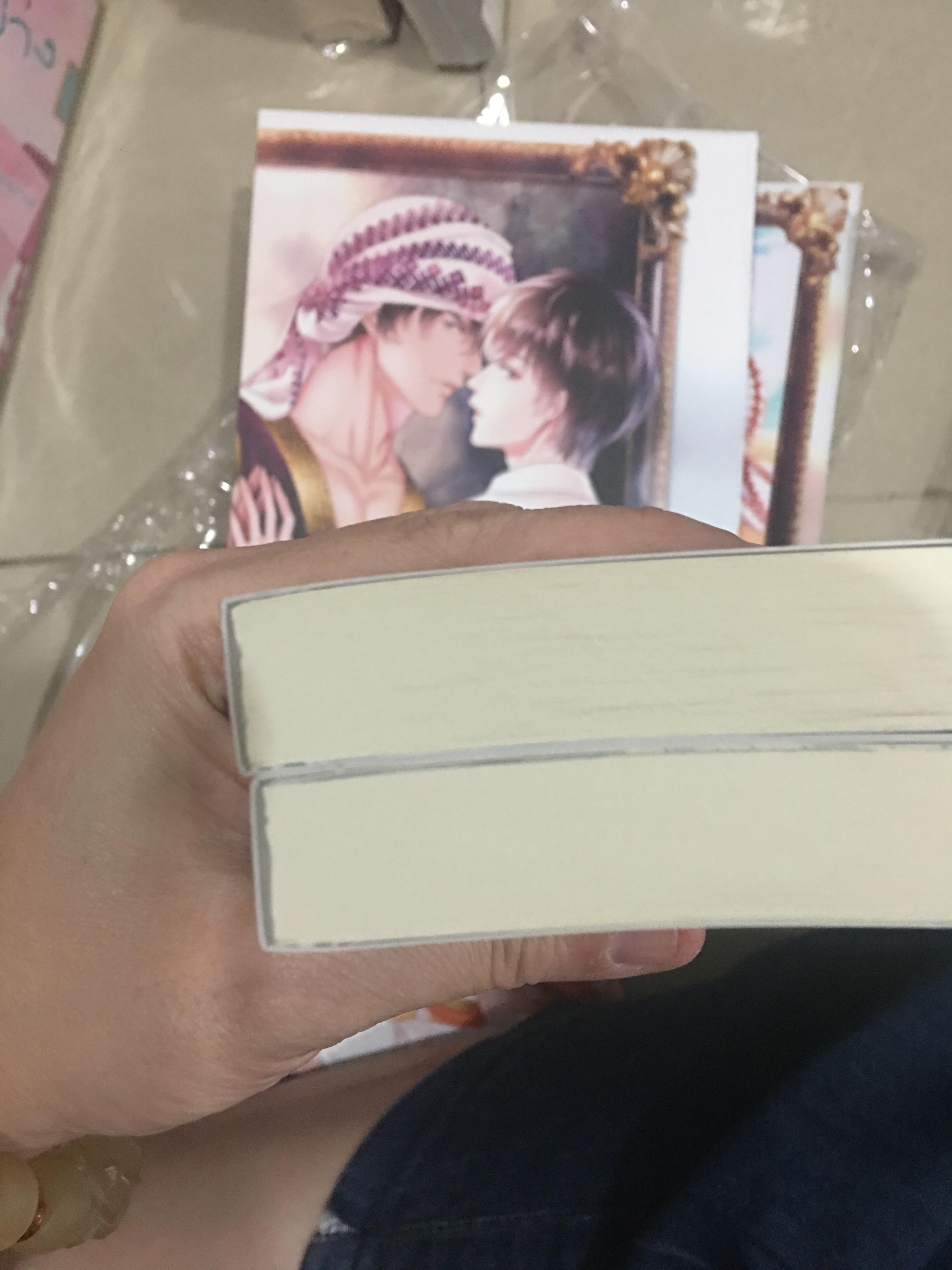 นิยาย ภาพวาดรักในรอยทราย + ดวงใจเจ้าเพลิง