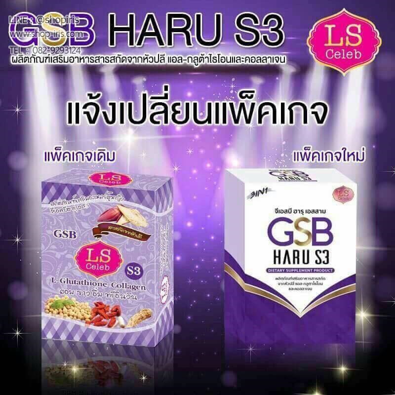 จีเอสบี ฮารุ เอสสาม GSB Haru S3