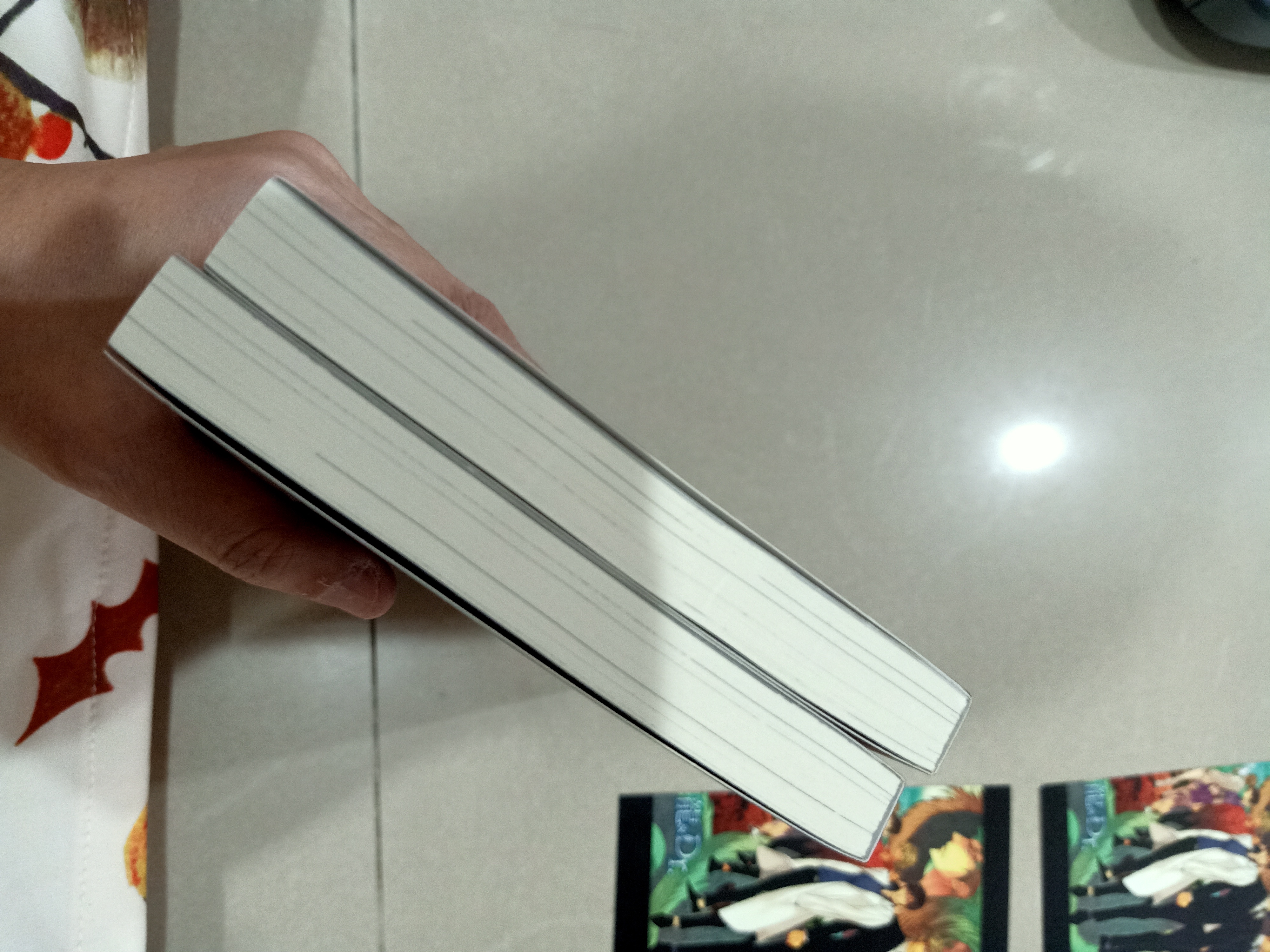 นิยายแปล 2 เล่ม