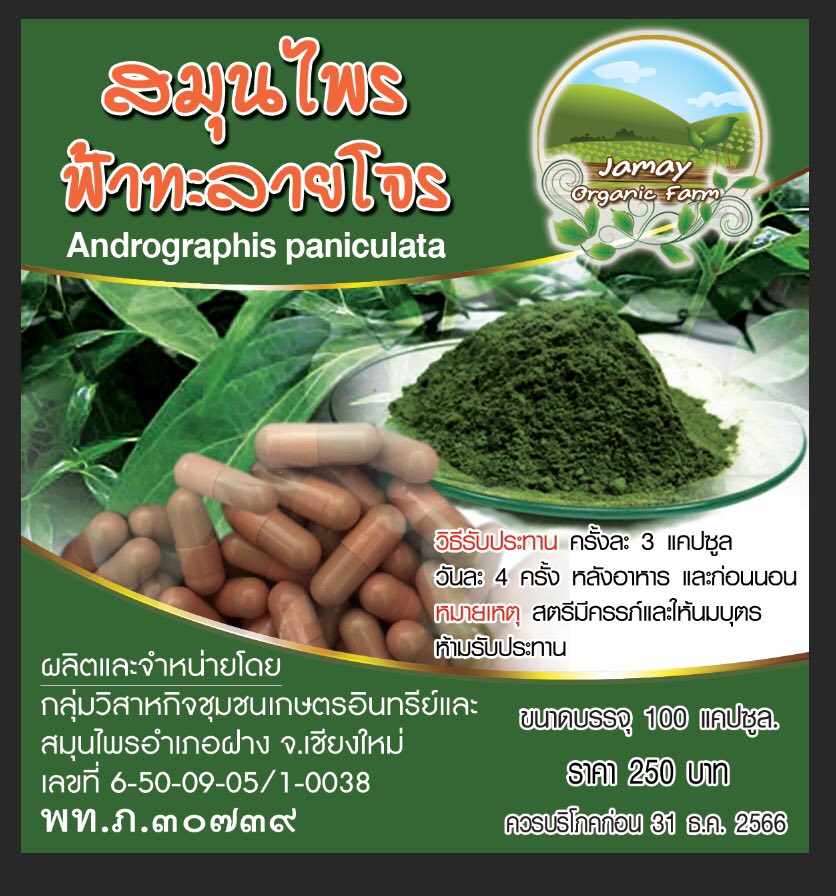 ฟ้าทะลายโจรแคปซูล ฟ้าทะลายโจร ของแท้ 100% บรรจุ 100 เม็ด ผลิตจากใบฟ้าทะลายโจร ของแท้ไม่มีผสม สินค้าคุณภาพจากไร่จะเมย์