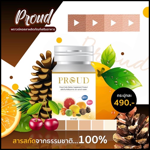 พราวด์ คอลลา Proud Colla