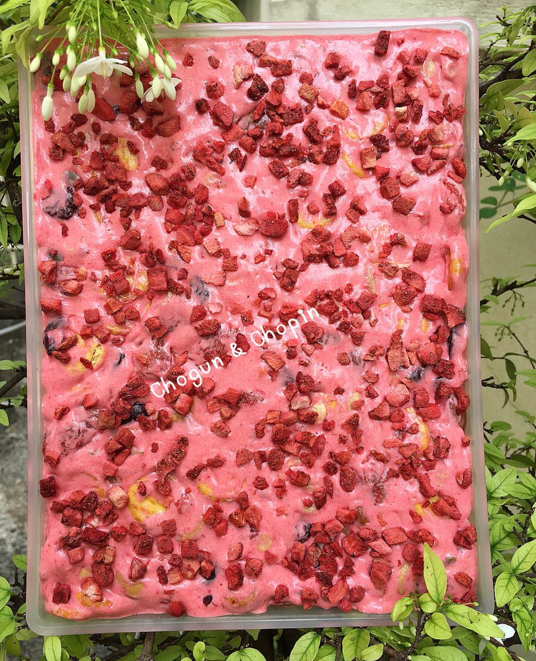 ผงกล้วยหอม 100% ธรรมชาติ ขนาด 100 กรัม พร้อมชงดื่ม ทำเบเกอรี่ได้ทันที! Premium Cavendish Banana Powder - 100% Natural, Ready to Mix! ✨ ไม่มีน้ำตาล ไม่ใส่นม ไม่มีสารกันบูด ✨ ✨ Sugar-free, Dairy-free, No Preservatives ✨ 📌