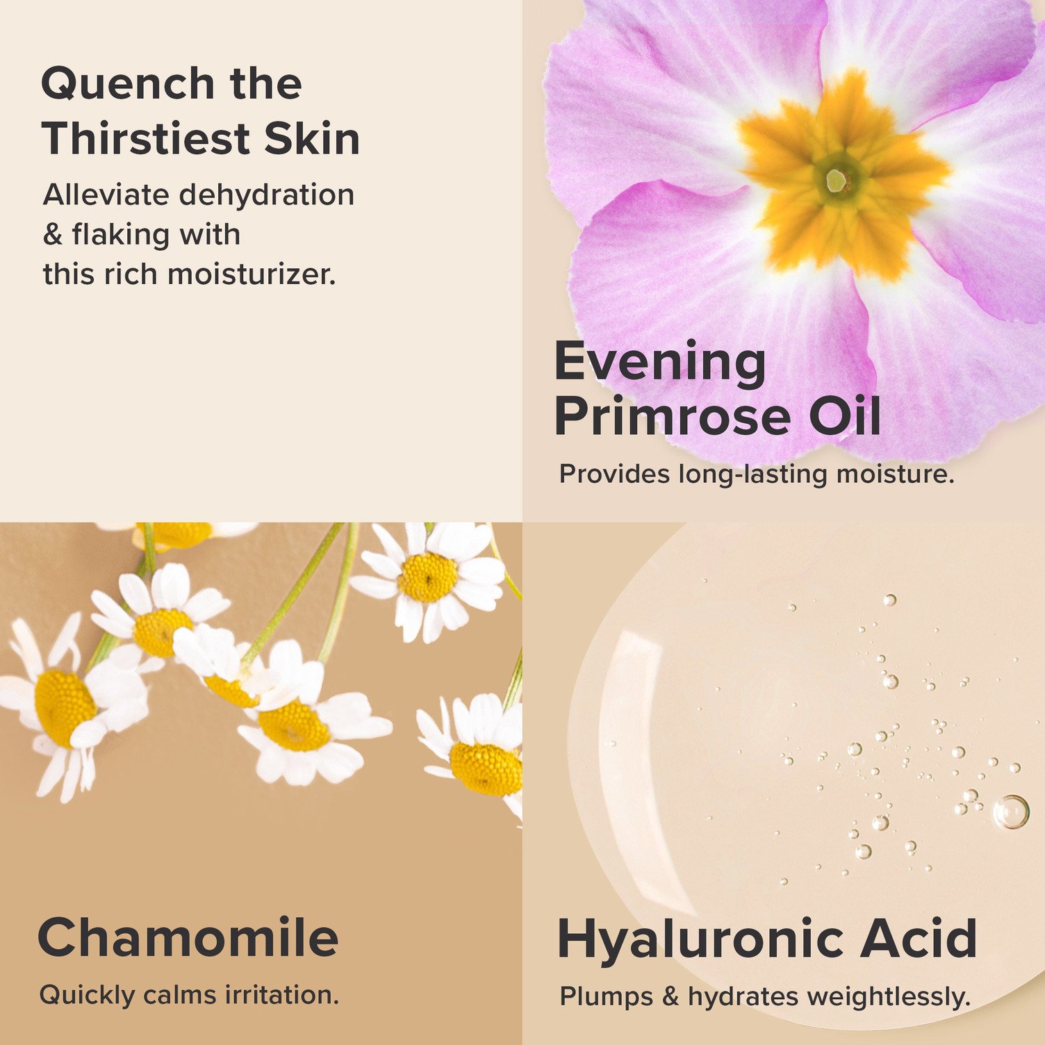 PAULA'S CHOICE :: Skin Recovery Replenishing Moisturizer ครีมบำรุงลดเลือนริ้วรอย บรรเทาการอักเสบ สำหรับผิวแห้งมาก