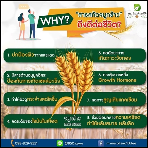 Olisa Q10 โอลิซ่า คิวเท็น สารสกัดจมูกข้าว ดูแลหัวใจและหลอดเลือด