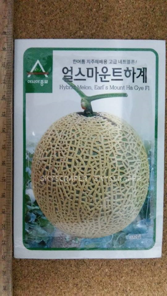 เมล่อนเอิร์ลเมาท์ฮาจี F1 - Earl's Mount Ha Gye Melon F1