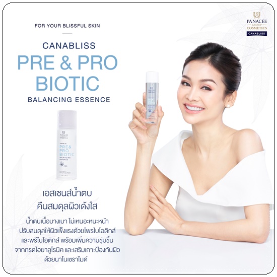 น้ำตบอิงฟ้า Canabliss