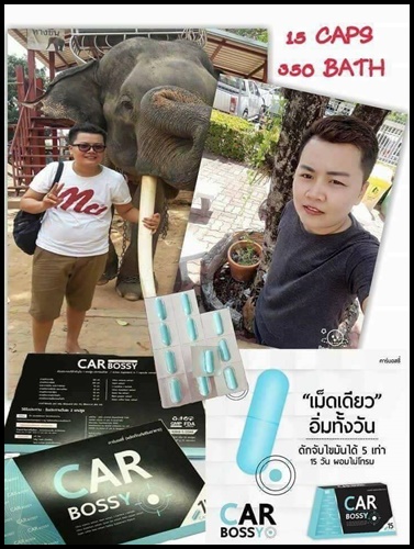 คาร์บอสซี่ สลายไขมัน CAR BOSSY BY SN