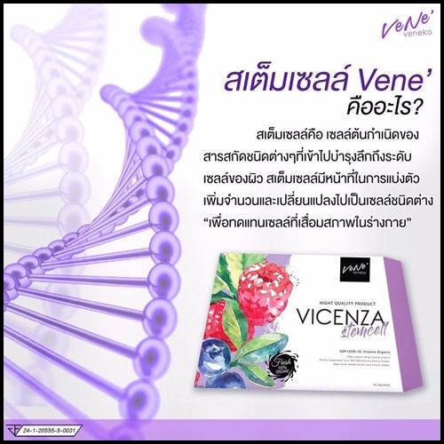 เวเน่ เวเนก้า VICENZA Stemcell by Vene' Veneka อาหารเสริมเสต็มเซลล์