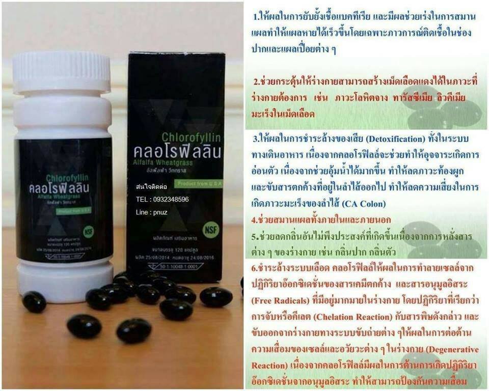 คลอโรฟิลลิน ผักเม็ดสำหรับคนไม่ชอบกินผัก (Chorofyllin Alfalfa Wheatgrass)