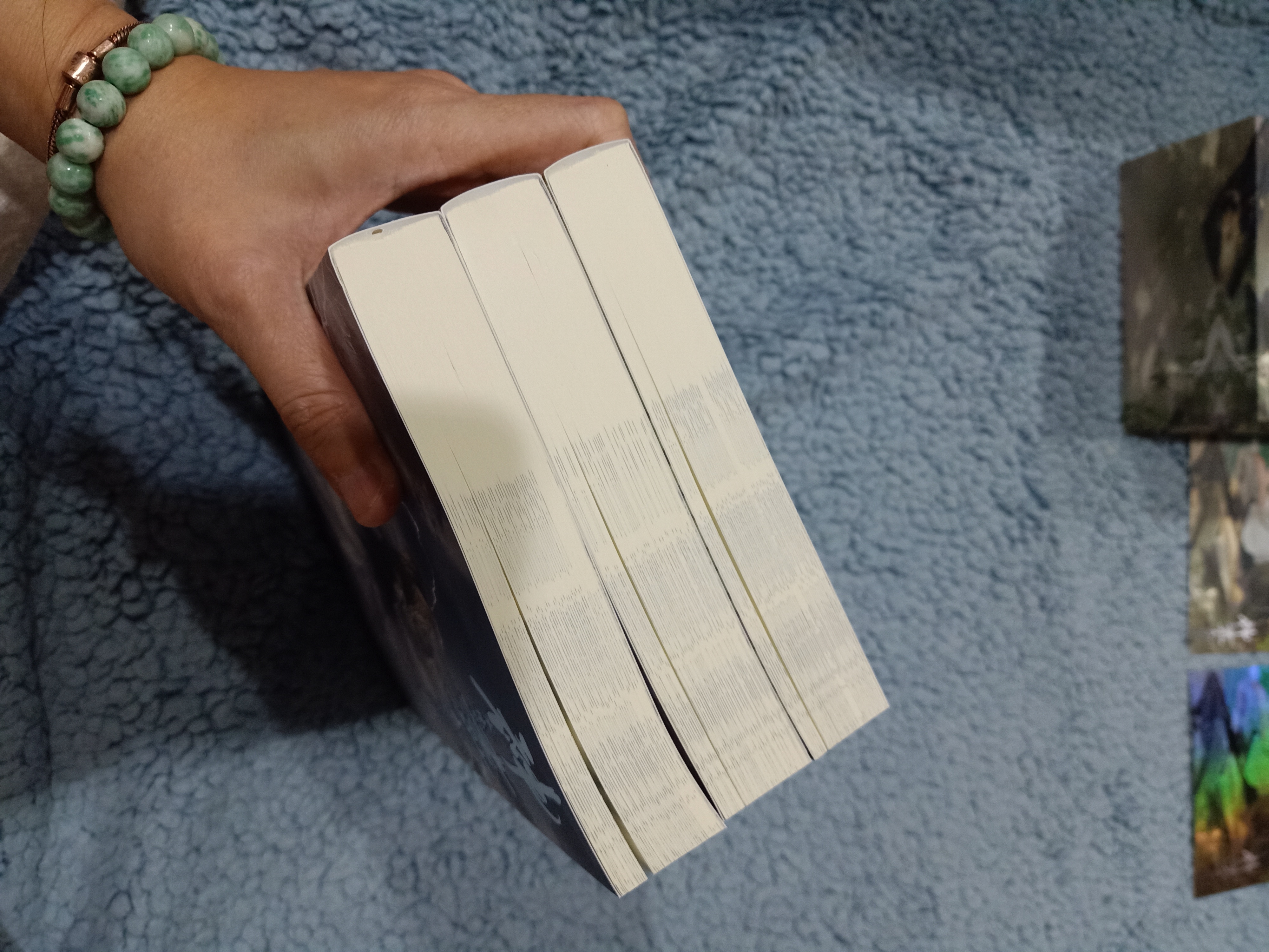 Boxset นิยายแปล รักนิรันดร์ของนายท่านแมว +โปสเตอร์ รอบจอง