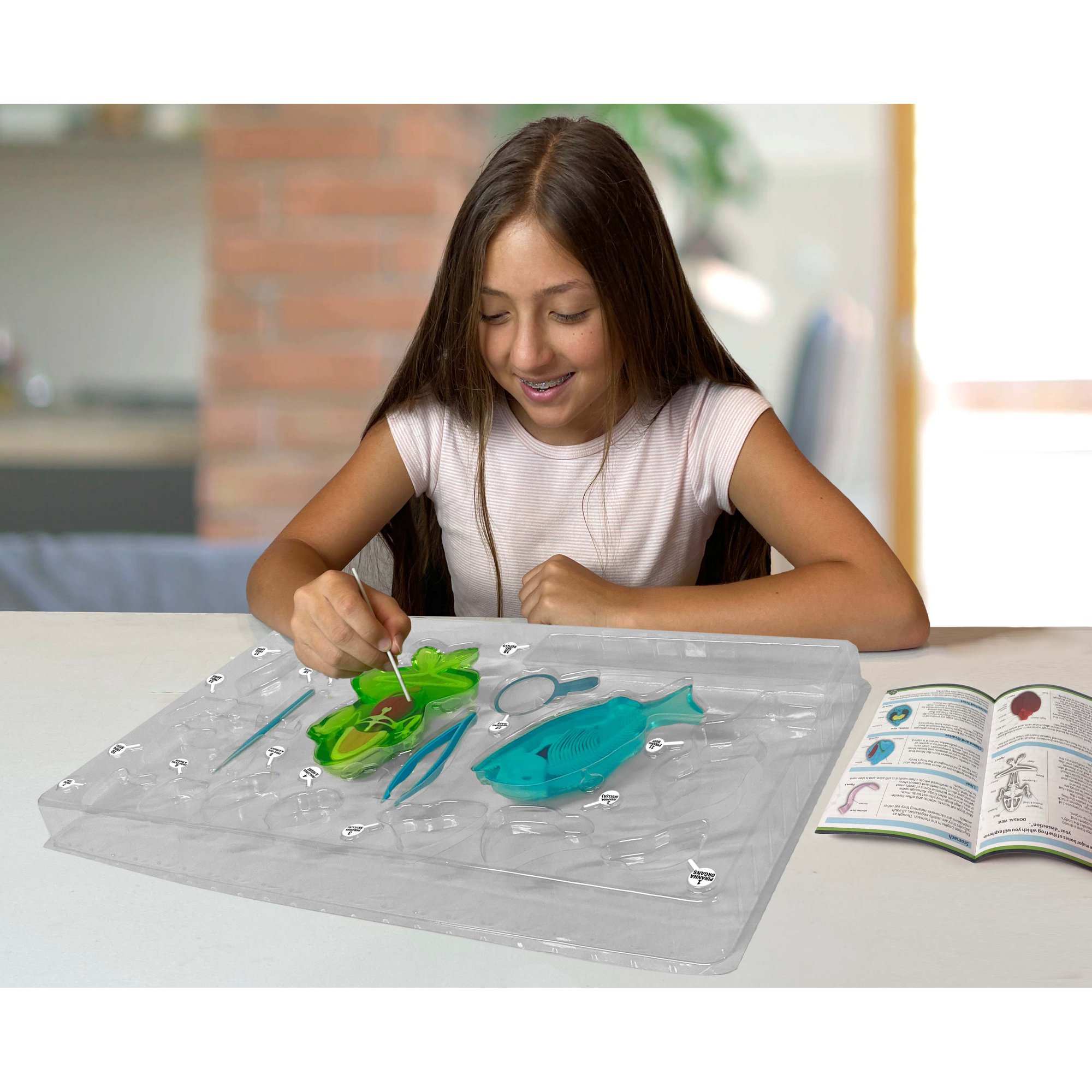 ชุดสำรวจDissect-It Mega Lab Interactive Stem ราคา 1990.- บาท