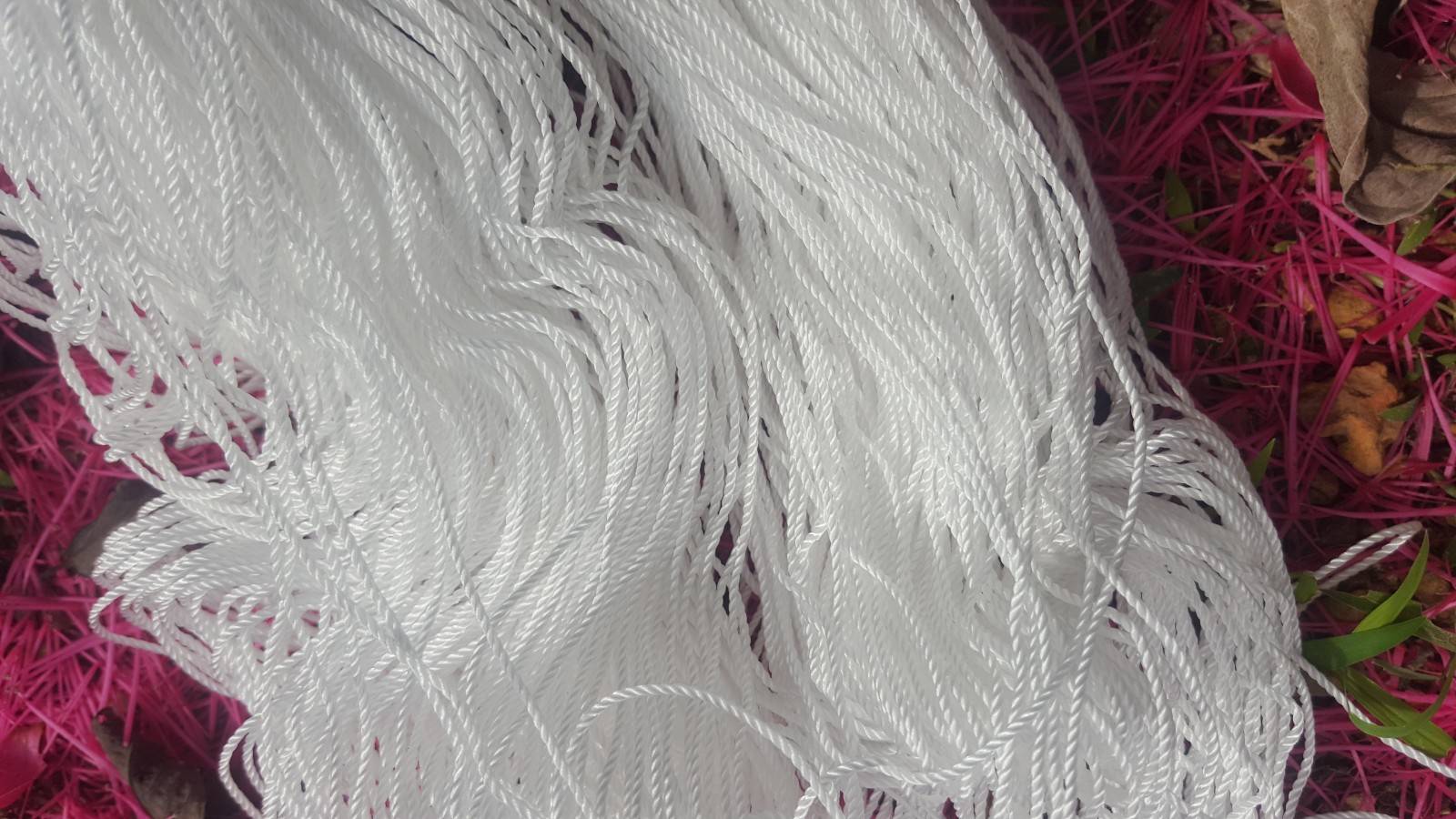 เขือกขาวร้อยโมบาย