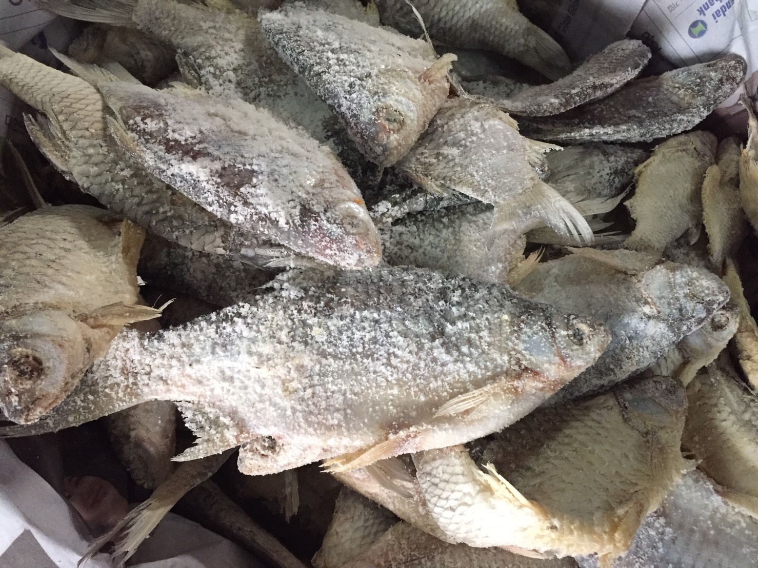 ปลาหมักเกลือ ปลาเน่า น้ำหนัก 500 กรัม ပႃႇၸႃႇ - ပႃႇၸႃႇၶမ်းၵႅတ်းသေ ปลาหมักสูตรไทยใหญ่ Fermented Fish - Burmese Style Pickled Fish ปลาเน่า ปลาเน่าเกเซ นำไปประกอบอาหารได้หลากหลายชนิด รับประกันความอร่อย