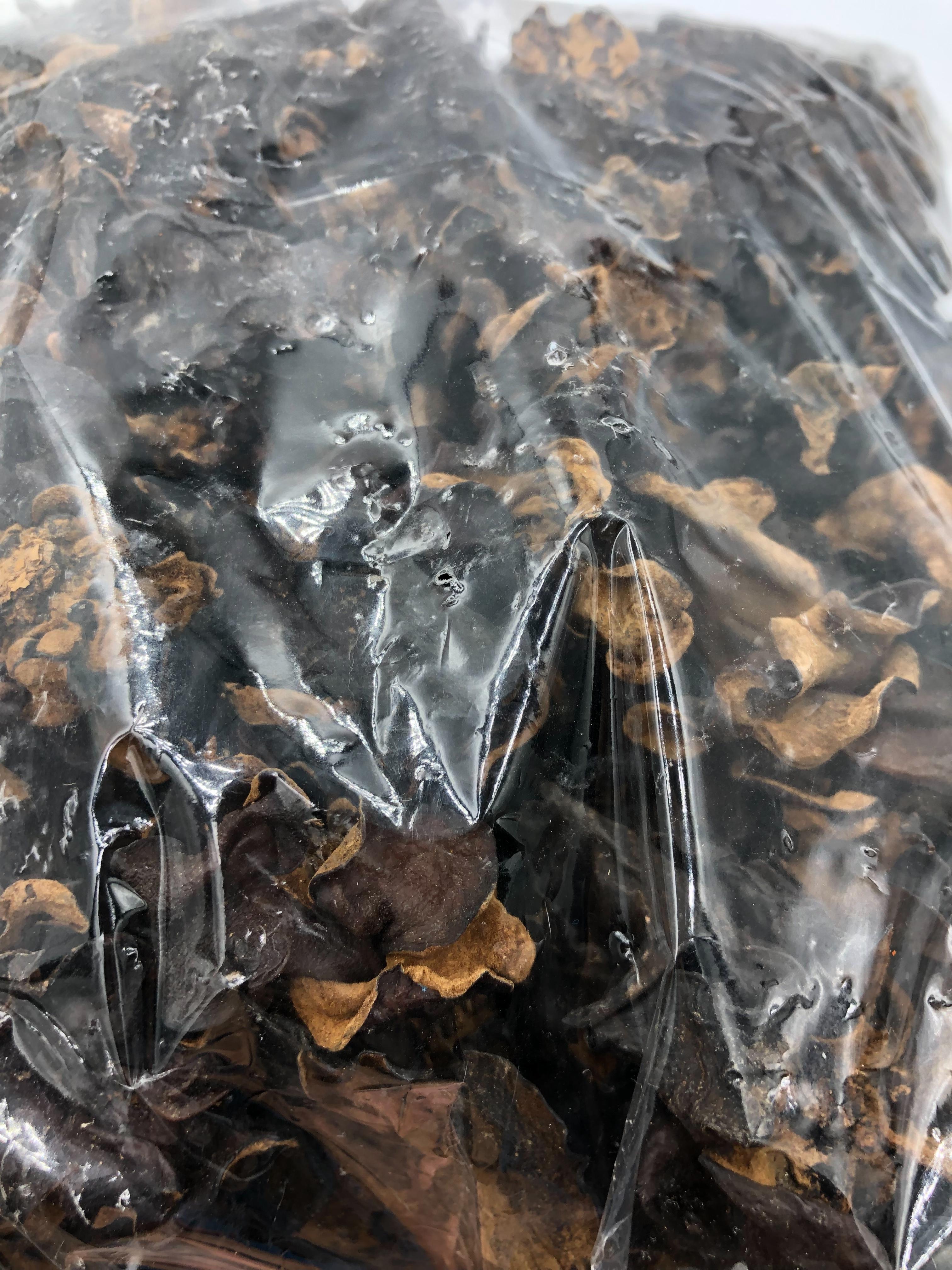 เห็ดหูหนูดำแห้ง ear mushroom ขนาด 500 กรัม เห็ดหูหนูดำ (ไทย) ครึ่งกิโลกรัม เห็ดหูหนูดำอบแห้ง เห็ดหูหนู เห็ดหูหนูดำ เห็ดหูหนูแห้ง ป็นเห็ดที่ได้รับพลังยินสะสม ทำให้ลดความร้อน หรือเกิดความเย็นแก่กระเพาะอาหารได้