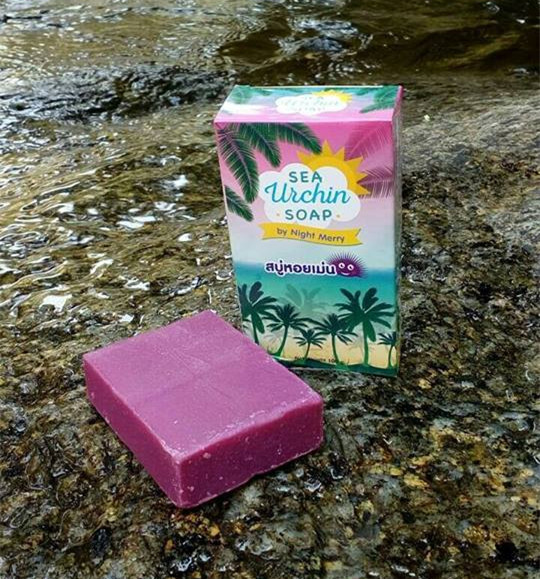 สบู่หอยเม่น (Sea Urchin Soap By Night Merry)