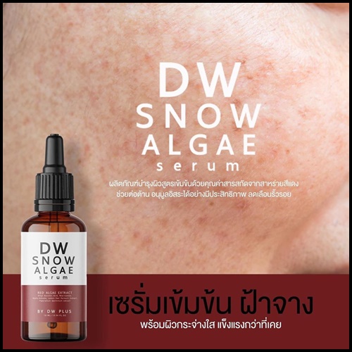 DW Snow Algae Serum เซรั่มสาหร่ายหิมะ
